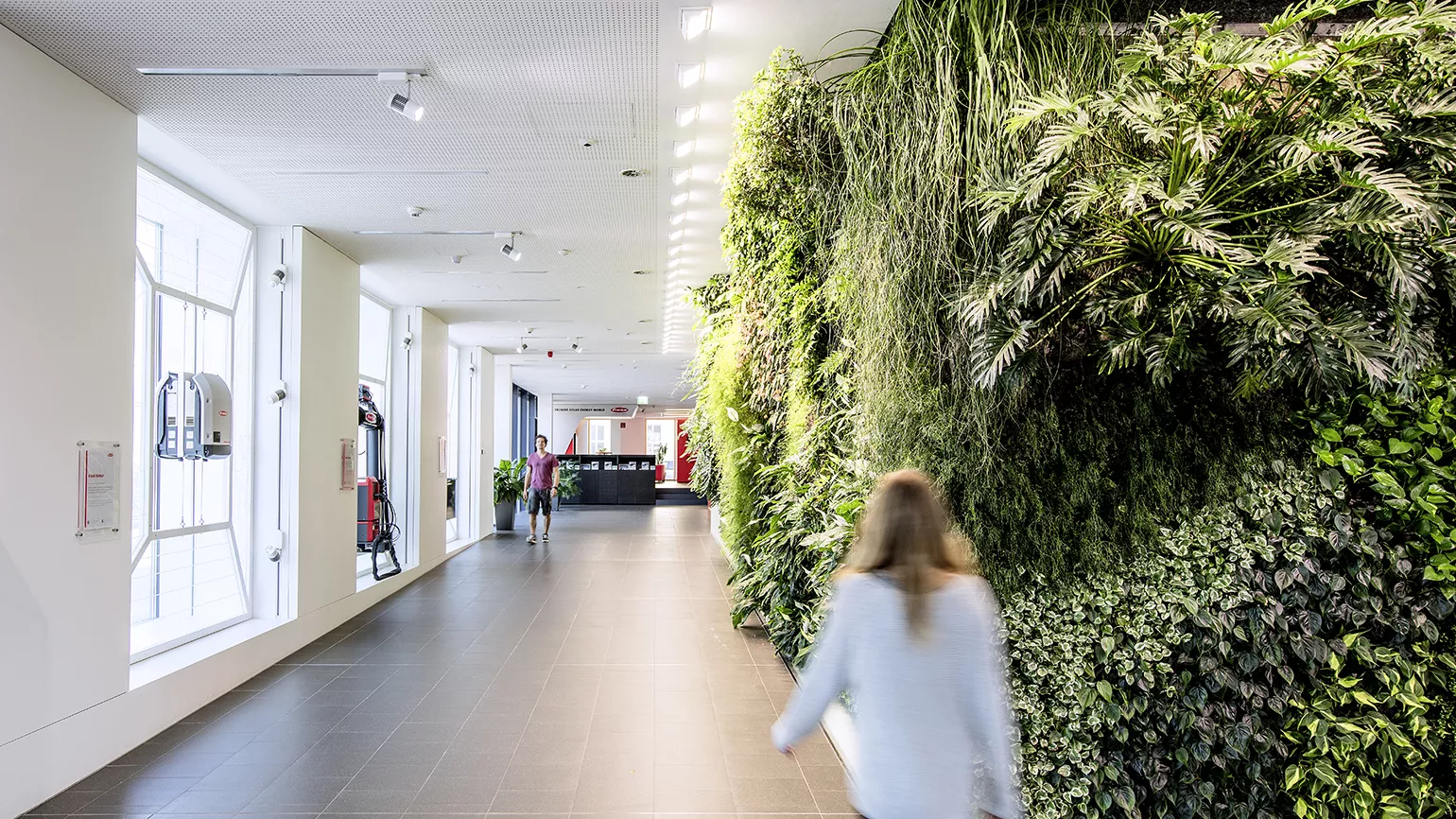 Vertical Garden